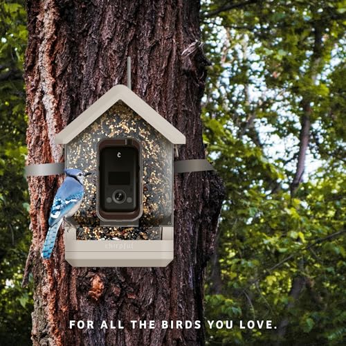 Birds Choice Smart Bird Feeder with Camera | Solar Powered Bird Watching for Outdoors | AI to Identify Bird Species, Capable of Real-Time Streaming | Wireless with Camera, Waterproof Construction | AI Species Recognition Motion-Activated Ultra HD Video an