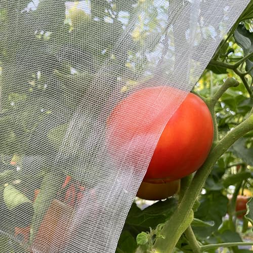 Garden Netting 10x33ft - Ultra Fine Mesh Insect Bug Screen Barrier | for Vegetables Fruits Trees, Net for Raised Bed Greenhouse Plant Protection, Blocks Aphids Cabbage Moth Mosquitoes - size: 10'x33'