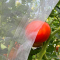 Garden Netting 10x33ft - Ultra Fine Mesh Insect Bug Screen Barrier | for Vegetables Fruits Trees, Net for Raised Bed Greenhouse Plant Protection, Blocks Aphids Cabbage Moth Mosquitoes - size: 10'x33'