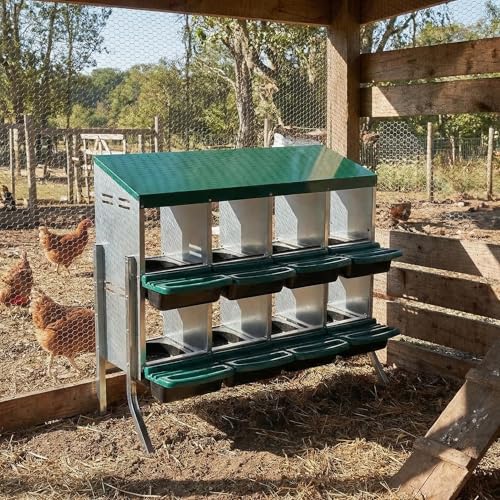 GarveeTech 8-Hole Poultry Nesting Box with Bracket & Egg Collection Tray, Chicken Laying Box with Ventilation Design for Hens & Ducks, Ideal for Backyard Coops and Small Farms - color: Green, size: 8 holes with legs