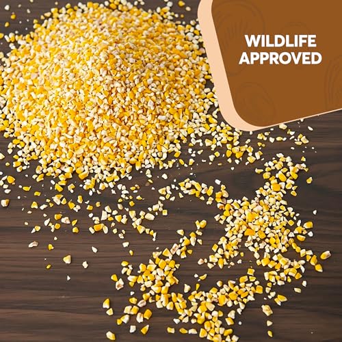 Cracked Corn 10 lb – Premium Bird Seed & Wildlife Feed for Ducks, Deer, Squirrels, Chickens, and Turkeys – Cracked Corn for Wild Birds – Grown in USA