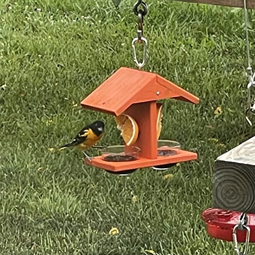 Double Fruit and Jelly Bird Feeder | Wood Roof Keeps Food Dry - 2 Prongs for Orange Halves - 2 Glass Jelly Cups, Sold Separately