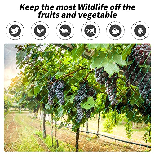 Kikhope Anti Bird Netting, 16.5 ft x 66 ft Garden Plant Netting for Protecting Vegetables, Plants and Fruit Trees from Birds and Animals - size: 16.5x66 ft