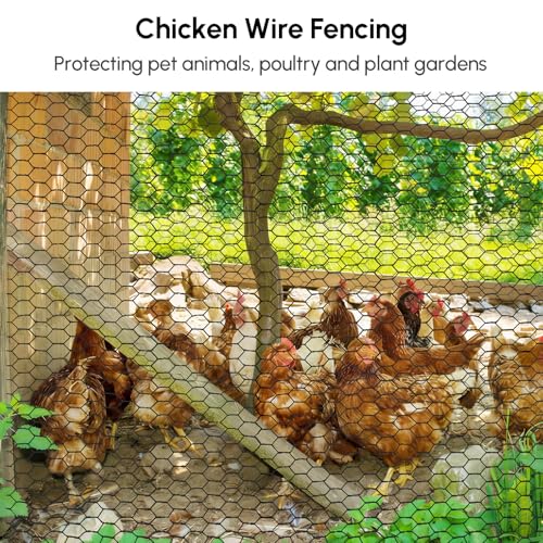 48in x 150ft Chicken Wire, Black Poultry Wire Netting, Hexagonal Galvanized Mesh, Outdoor Anti-Rust Surface Plastic Coating, Garden Fence Animal Barrier for Pet Rabbit Chicken Fencing - size: 48in(H)x150ft(L)