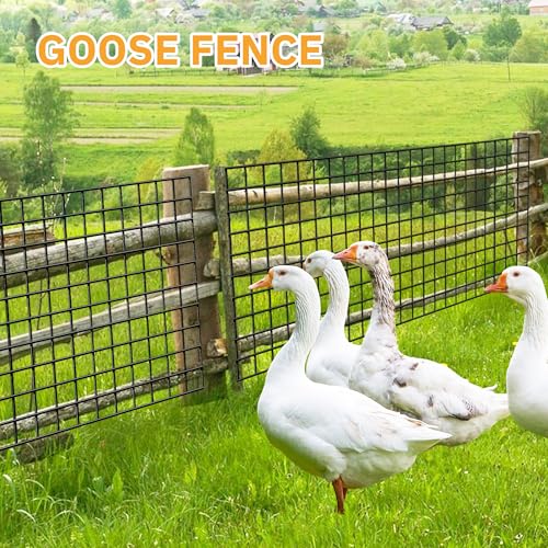 PVC Coated Welded Wire Fencing,2"x2" 14GA Coated (16GA Bare),60inch H x 100ft L Garden Wire Fence Roll,2/3/4/5/6ft Tall x 100 ft Long Vinyl Coating Metal Wire Mesh for Yard,Farm,Dog,Vegetable - color: Black, size: 14GA 2x2 60"x100'