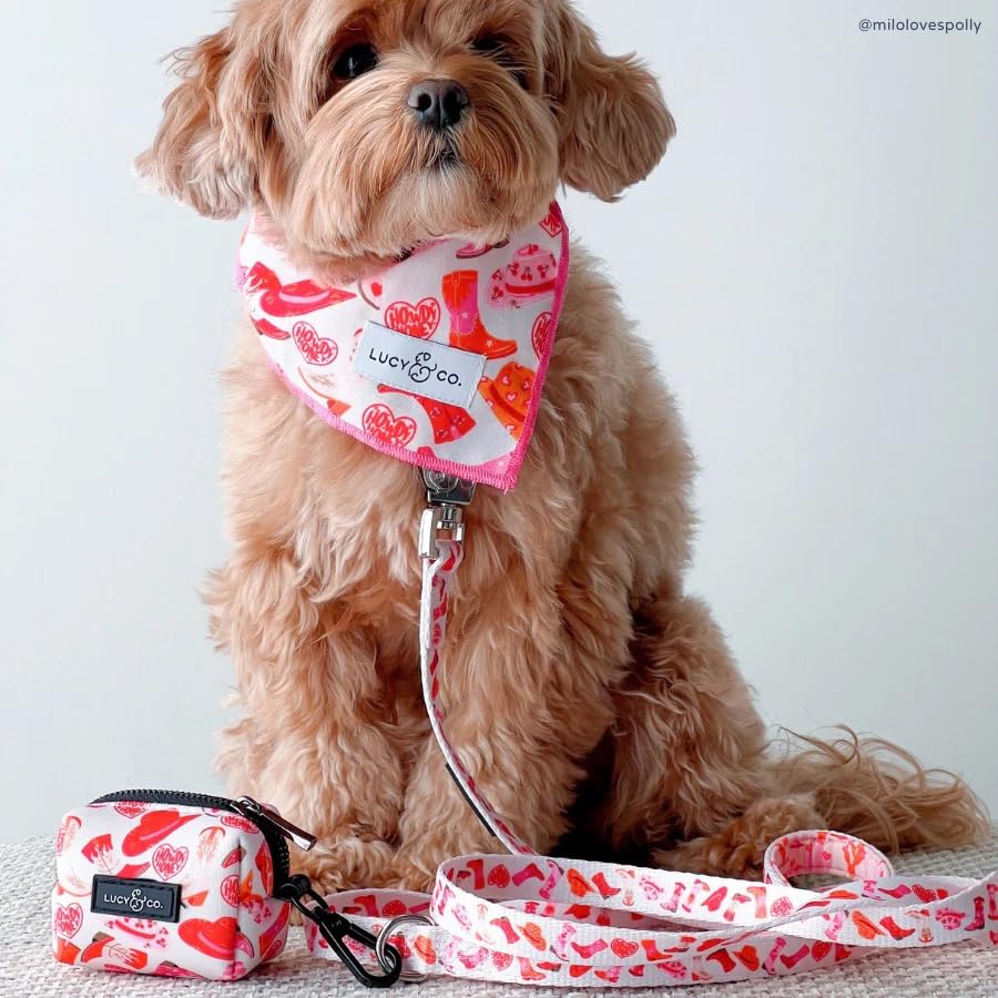 Howdy, Honey Leash - color: Howdy, Honey, size: Small