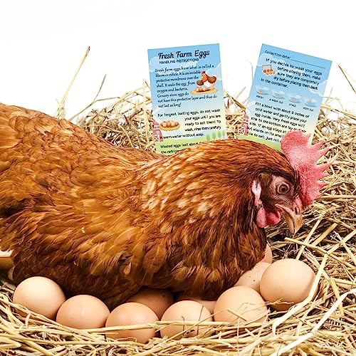 Kisston 200 Pcs Egg Handling Instruction Cards Bulk Fresh Farm Egg Care Labels 2 x 3.5'' Resuable Eggs Carton Stamp Thick Paper Design for Basket Farmstand Market Business Supplies (Rustic Style) - style: Rustic