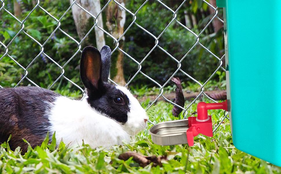 Metal Rabbit Chicken Water Cup Chicken Kettle DIY Rabbit Chicken Small Hamster Guinea Pig (Black, 6) - color: black, size: 6