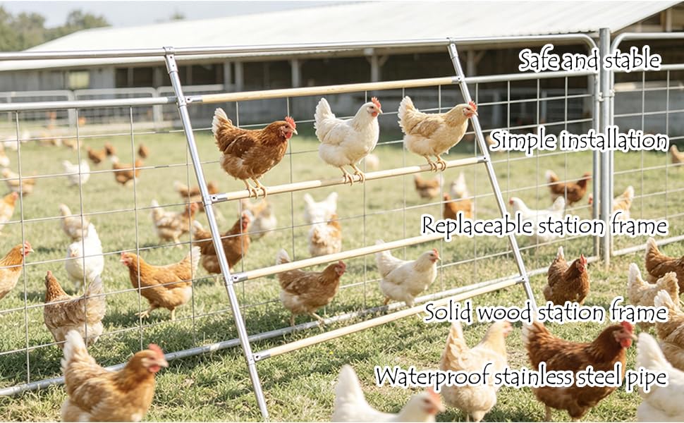 Chicken Perch Roosting Bars for Chickens in Coop, Can Be Mounted on Wall or Chicken Cage, Adjustable Height & Spacing 4-Tier, Large Chicken Roost for Backyard Poultry (Upgraded Version)