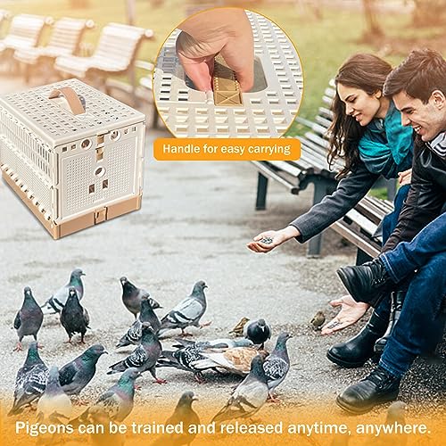 Folding Pigeon Cage Racing Pigeons Travel Cage Pairing Cage Plastic Two Doors Nest Box for Training and Release, Competition(S) - size: S