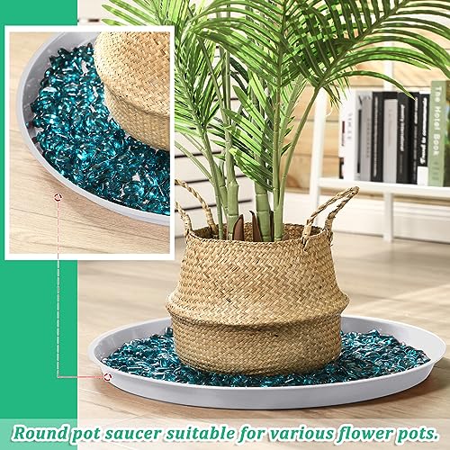 Eccliy 6 Pack Plastic Plant Saucer Heavy Duty Planter Saucers Large Plant Pot Saucers Plastic Water Trays for Indoors and Outdoors Flower Plant Plant Drip (White,25 Inch) - color: White, size: 25 Inch, style: Round