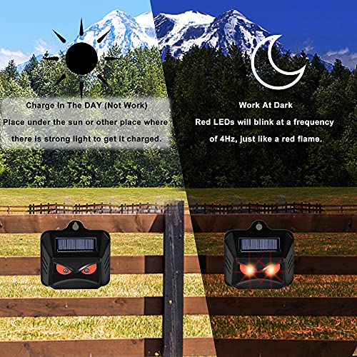 Triumpeek Animal Repeller, Solar Powered Predator Eye Nighttime Animal Deterrent Devices with Red LED Lights, Night Guard Animal Repellent Scares Coyote Skunk Raccoon Deer Away from Yard Chicken Coop | Solar Powered, Red LED Lights, Night Guard, Scares Co