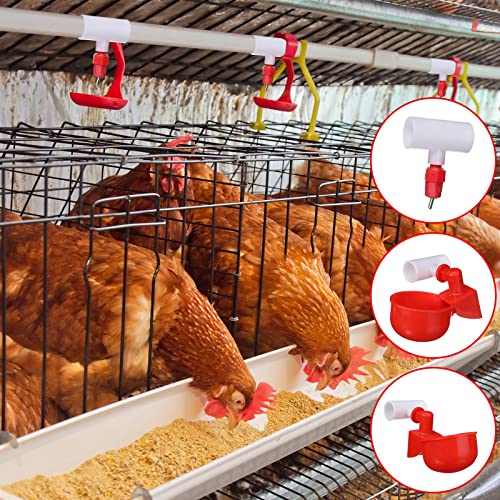 Outus 50 Pack Chicken Waterer PVC Tee Fittings, Fully Automatic Poultry Waterer PVC Fittings for Threaded Chicken Water Nipples, Cups, Drinker, Feeder, Duck, Quail, Turkey Coop Accessories, White