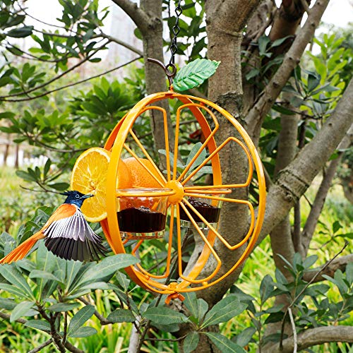 FORUP Oriole Bird Feeder for Outdoors Jelly and Oranges, Orange Fruit Oriole Jelly Bird Feeder, Outdoor Garden Metal Hanging Drinking Grape Jelly Container Hummingbird Feeder