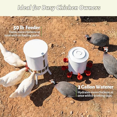 KOL 50LB Chicken Feeder & 3 Gallon Chicken Waterer Set, All-Metal 16 Port Feeder + 8 Cup Auto Waterer, No Waste, Weatherproof Poultry Feeding System Chicken Coop Accessories