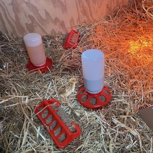 Automatic Chicks Feeder and Waterer Set, 1L, Indoor Chicken Water Bottle and Feeder for Baby Chicks, Ducks, Quail, No-drip Design