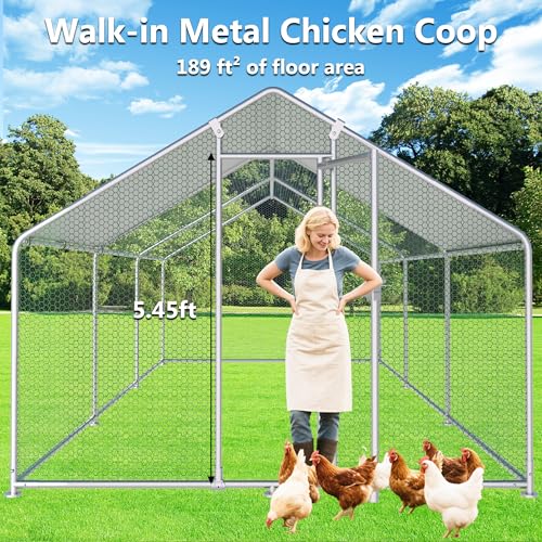 HITTITE Large Metal Chicken Coop with Run, 19.19 x 9.84 x 6.56 ft Walk in Poultry Cage Chicken Run Pen, Outdoor Chicken Runs for Yard with Waterproof & Anti-UV Cover - size: 19.19'L x 9.84'W x 6.56'H