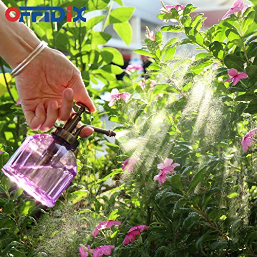 Glass Watering Spray Bottle,Plant Mister watering can indoor with Bronze Plastic Top Pump, Glass Small Watering Can for Garden, Plants, Cleaning (Purple) - color: G-Purple