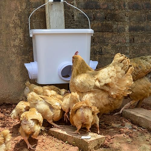 Automatic Chicken Feeder Set Hanging Chicken Feeder No Waste Poultry Feeder Kit 20lb Chicken Feed Container - color: white