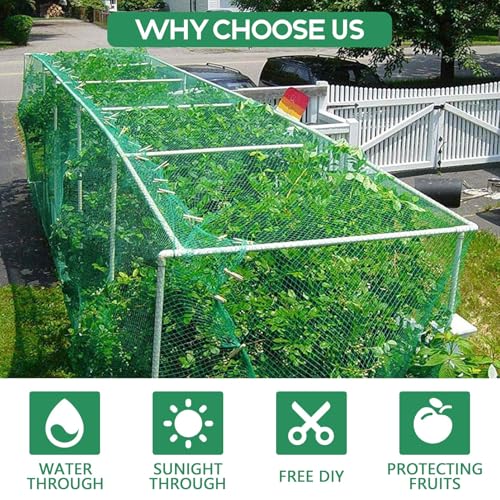 Unves 13 x 50 Ft Bird Netting for Garden, Heavy Duty Fruit Tree Netting | Garden Netting Protect Fruit Trees and Vegetable Plants Against Birds - color: Green, size: 13 x 50 Ft