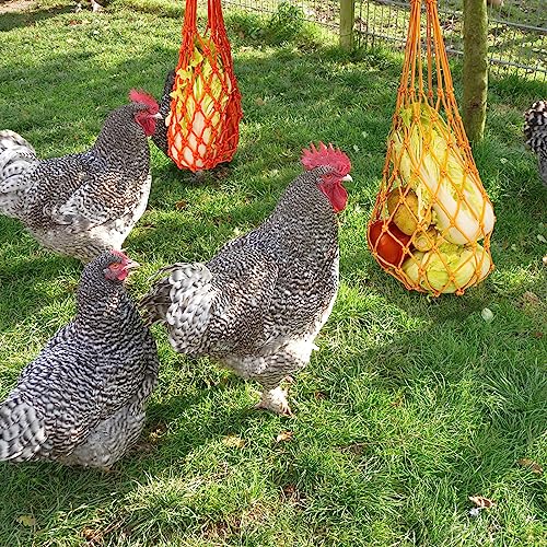 4Pcs Chicken Vegetable String Bag Poultry Fruit Holder Chicken Cabbage Feeder Treat Feeding Tool with Hook for Hens Chicken Coop Toy for Hen Goose Duck - color: Multicolor