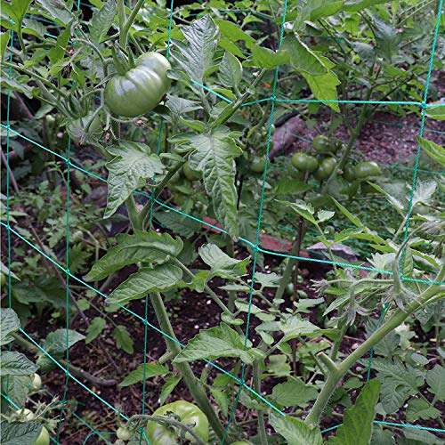 Trellis Netting for Climbing Plants - Heavy Duty Garden Trellis Netting for Cucumber, Vine, Fruits & Vegetables Tomato Plants Trellis Net, Climbing Vining Plants (1-Pack 3.3' x 6.6'Ft) - size: 3.3' x 6.6'Ft