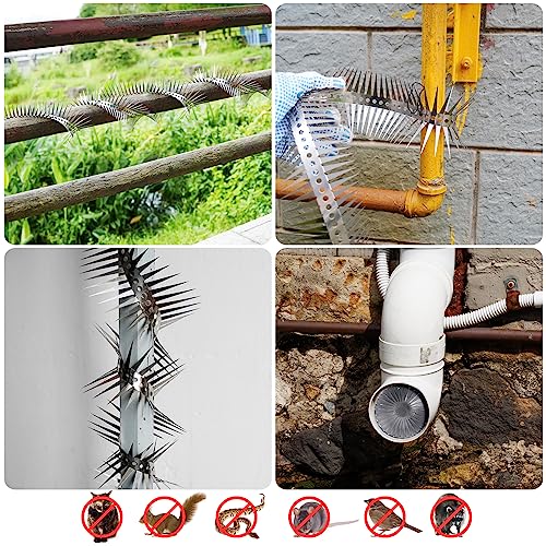 Bird Spikes - 250 Inch Stainless Steel Fence Spikes for Pigeons, Raccoons, Snakes - Deterrent Defender | 250 inch stainless steel bird spikes - size: 250 inch