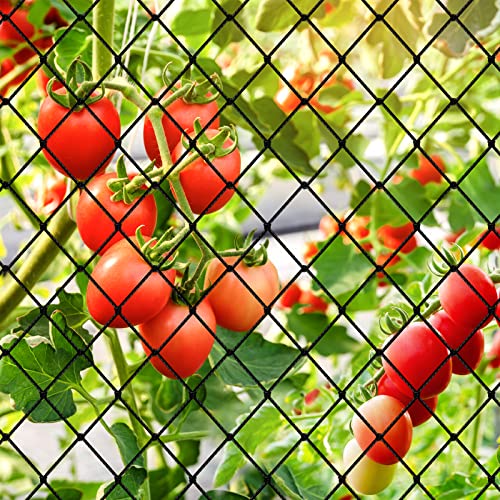 Bird Netting 25'x50'with 3/4" Square Mesh, Heavy Duty Nylon Garden Netting | Poultry Netting for Chicken Coop, Fruit Tree Netting for Orchard Against Squirrels, Deer, Hawk, Aviary Net - size: 3/4", 25' x 50'