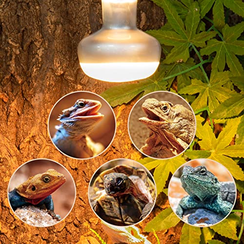 REPTI ZOO 2 Pack Heat Lamp 75W, Intense Basking Spot Simulated Natural Sunlight Heating Lamp Bulb, Heat Emitter UVA Heat Lamp Bulb for Reptile Chickens Pet Brooder - style: Natural Basking Light Bulb 75W