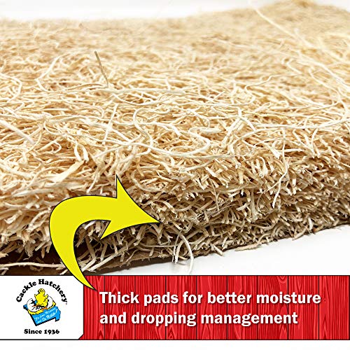 Laying Hen Nest Box Pads Made in USA from Sustainable Aspen Exceslior - 13x13 Nesting Box Liners (10 Pack) - size: 10 Pack