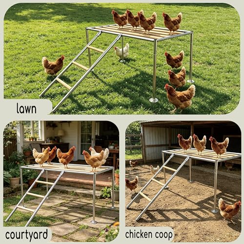 XCL Chicken Roosting Bars Large, Chicken Perch for Coop,Metal Frame Wood Chickens Perch for Backyard Poultry Roosting, Easy to Assemble Clean, Farm Chicken Toys, Accessories (Platform 42" L x 24" W)