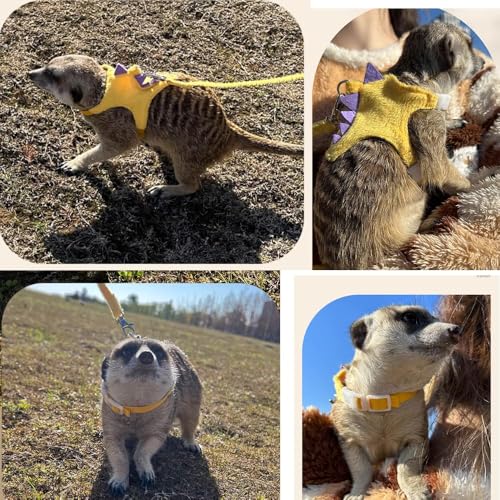 Ferret Harness and Leash Set Small Animals Vest Harness with Safe bell Dinosaur Shaped Walking clothes for Baby Rabbit Guinea pig Teacup Chihuahua Mouse and other small pet (Yellow) - color: Yellow