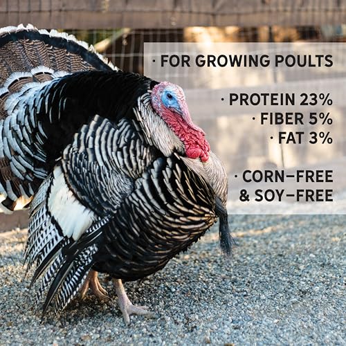 New Country Organics | Corn-Free Turkey Grower Feed 40 lbs I Turkey Feed for Jakes and Jennies | Soy-Free and Corn-Free | 23% Protein | Certified Organic and Non-GMO