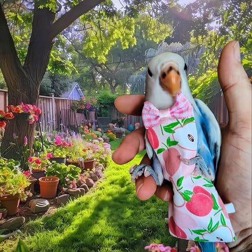 5 Pcs Bird Diapers Bird Harness Flight Suits Diapers Reusable Parrot Nappy with Waterproof Inner Layer Washable Cute Urine Wet Suit for Cockatiel Budgie Conure Macaw Parakeet Lovebird,L - size: L