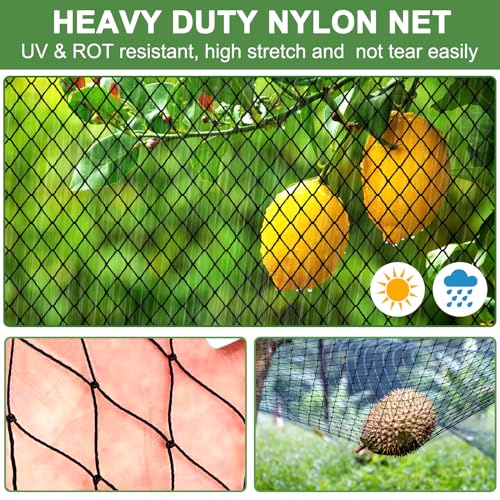 DQS Bird Netting 50' x 50', 2.4" Square Mesh Garden Netting, Poultry Net | Chicken Netting Hawk Deer Fence Net for Fruit Tree, Plant & Vegetable, Heavy Duty Nylon Aviary Net for Farm, Orchard - size: 2.4", 50' x50'