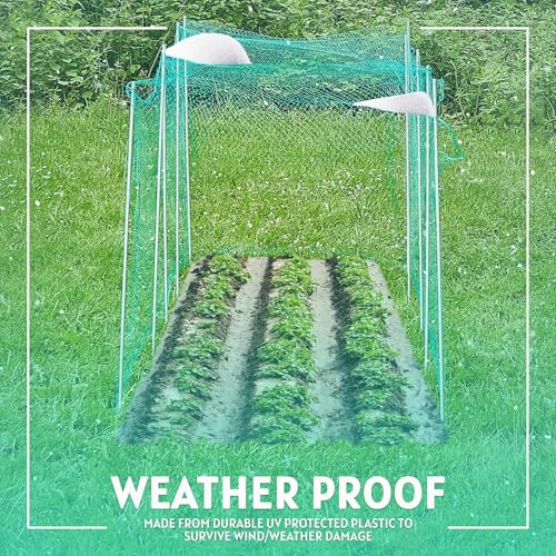 6-1/2 x 33 ft. Green Gentle Garden Netting/Row Cover/Screen | Protect Secure to Keep Away Birds and Rodents from Fruit, Vegetable, Flowers & Sensitive Plants, While Allowing Water & air in-2PK - size: 2 Pack