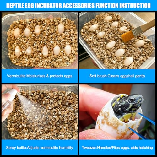 16 Grids Reptile Egg Incubator Box Turtle Lizard Gecko Snake Hatching Container Complete Kit with Tweezers Clip Vermiculite Spray Bottle
