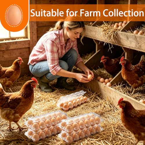 60 Pack 2x6 Grids Plastic Egg Cartons Bulk 12 Count Clear, Reusable Stackable Dozen Chicken Eggs Containers Holders for Storage, Family, Farm Markets and Commercial Display