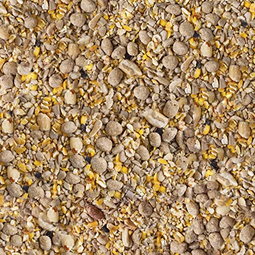 Kaytee Seed & Suet No Mess Peanut 10 Pounds - size: 10 Pound (Pack of 1)