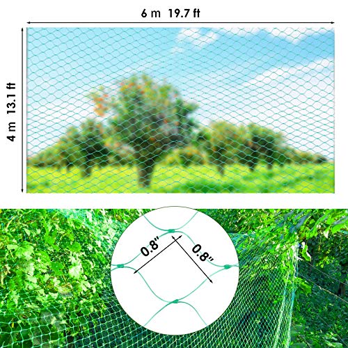 13X130FTRuolan Bird Netting for Garden Protect Vegetable Plants and Fruit Trees,Plastic Trellis Netting for Birds, Deer,Squirrels and Other Animals (13X130), Green - size: 13X130