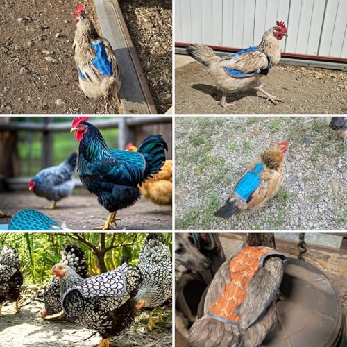 Waterproof Chicken Saddles for Hens with Laundry Bag, Juvaeny Adjustable Hen Apron Back Protector, 3 Pack Poultry Feather Protection Saddle Vest for Chickens & Ducks, Chicken Clothes & Accessories