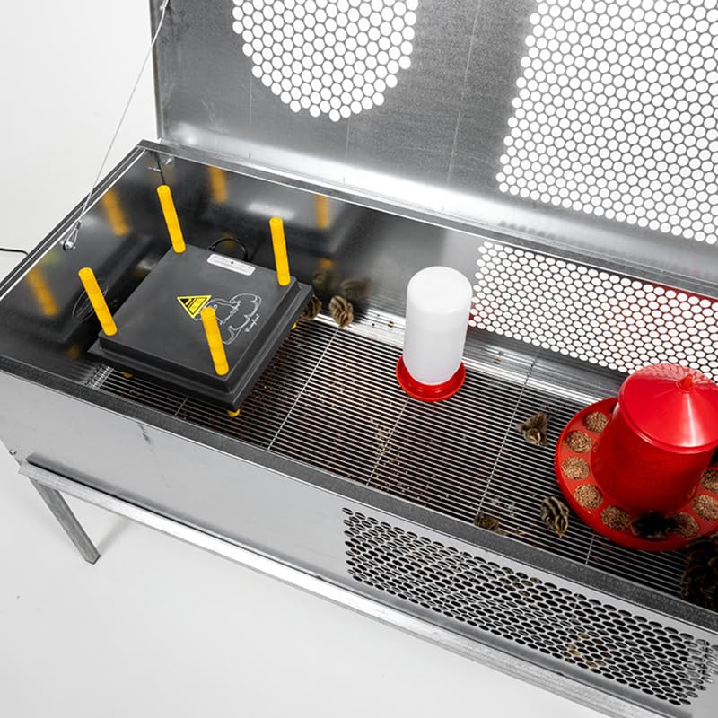 Premier 1 QuikClean Chick Brooder – Hinged Lid & Removable Collection Tray | Hinged lid, removable collection tray. Slotted wire floor. Broods chicks up to 5–6 weeks. Add-your-own heat source.