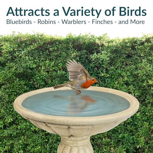 Sunnydaze Grecian Concrete Bird Bath for Outside, 20” H, Antique White | 1/2 Gal Water Capacity, Glass Fiber Reinforced Concrete, 2-Piece Stone Birdbath, Easy Assembly, Cement Bird Bath for Outdoors - color: Antique White