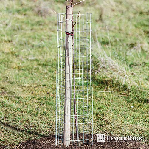 Fencer Wire 14 Gauge Galvanized Welded Wire Mesh Size 2 inch by 4 inch - size: 6 ft. x 50 ft.