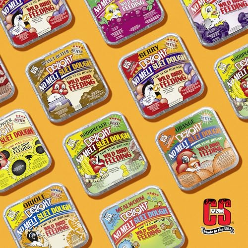 C&S Berry Delight No Melt Suet Dough, Suet Cakes for Wild Birds Including Robins, Blue Jays, Bluebirds, Tanagers, Thrushes and More, 11.75 Ounces, Pack of 8 - size: 1.47 Ounce (Pack of 8), style: Berry, 8 Pack