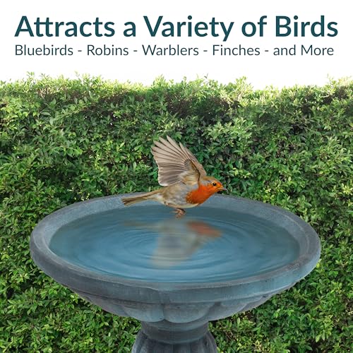 Sunnydaze Grecian Concrete Bird Bath for Outside, 20” H, Patina Green | ½ Gal Water Capacity, Glass Fiber Reinforced Concrete, 2-Piece Stone Birdbath, Easy Assembly, Cement Bird Bath for Outdoors - color: Patina Green