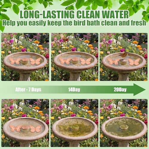 4 Pack Pure Copper Disk for Bird Bath Water Cleaner,Butterfly | Triple-point Support, Outdoor Bowl Purification, Algae Prevention Safe, Pure Copper Discs, Flower Petal Design Shapes - size: Butterfly