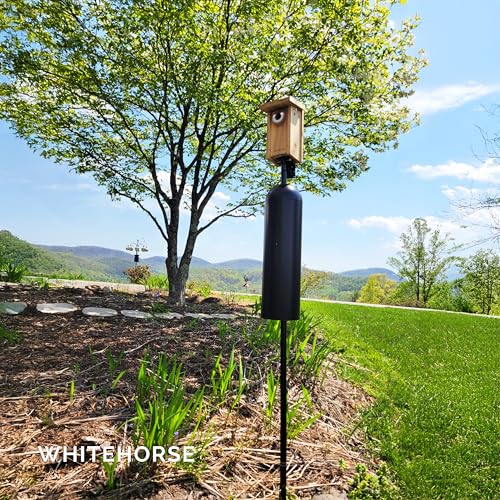 WHITEHORSE Bird House Pole with Baffle- A Professional Squirrel Proof Bird Feeder Pole - Very Sturdy Against Strong Winds - Bird House Poles for Outdoors - Pole for Bird Feeders - Bluebird House Pole - style: Mounting Pole with Baffle