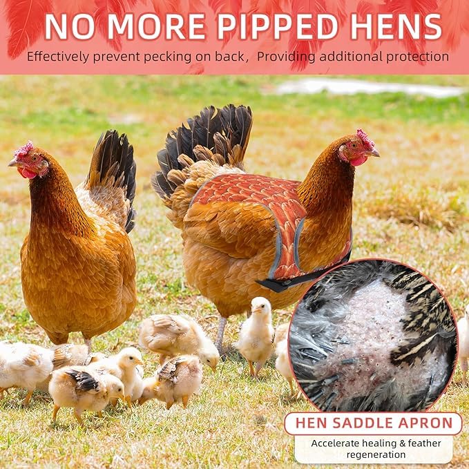 Chicken Saddles for hens, Chicken Hen Mating Saddle | Chicken Apron Back Protector for Hens With Adjustable Strap - color: Black, Yellow, White
