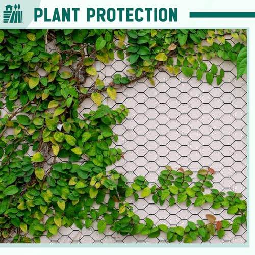 GlikCeil 36 in x 200 ft Chicken Wire Fencing Metal Floral Chicken Wire Mesh for Crafts Poultry Garden, 1 Inch Hexagonal Galvanized Hardware Netting for Poultry Coop Barrier Rabbit Cage (Black) - color: Black, size: 36 in X 200 ft
